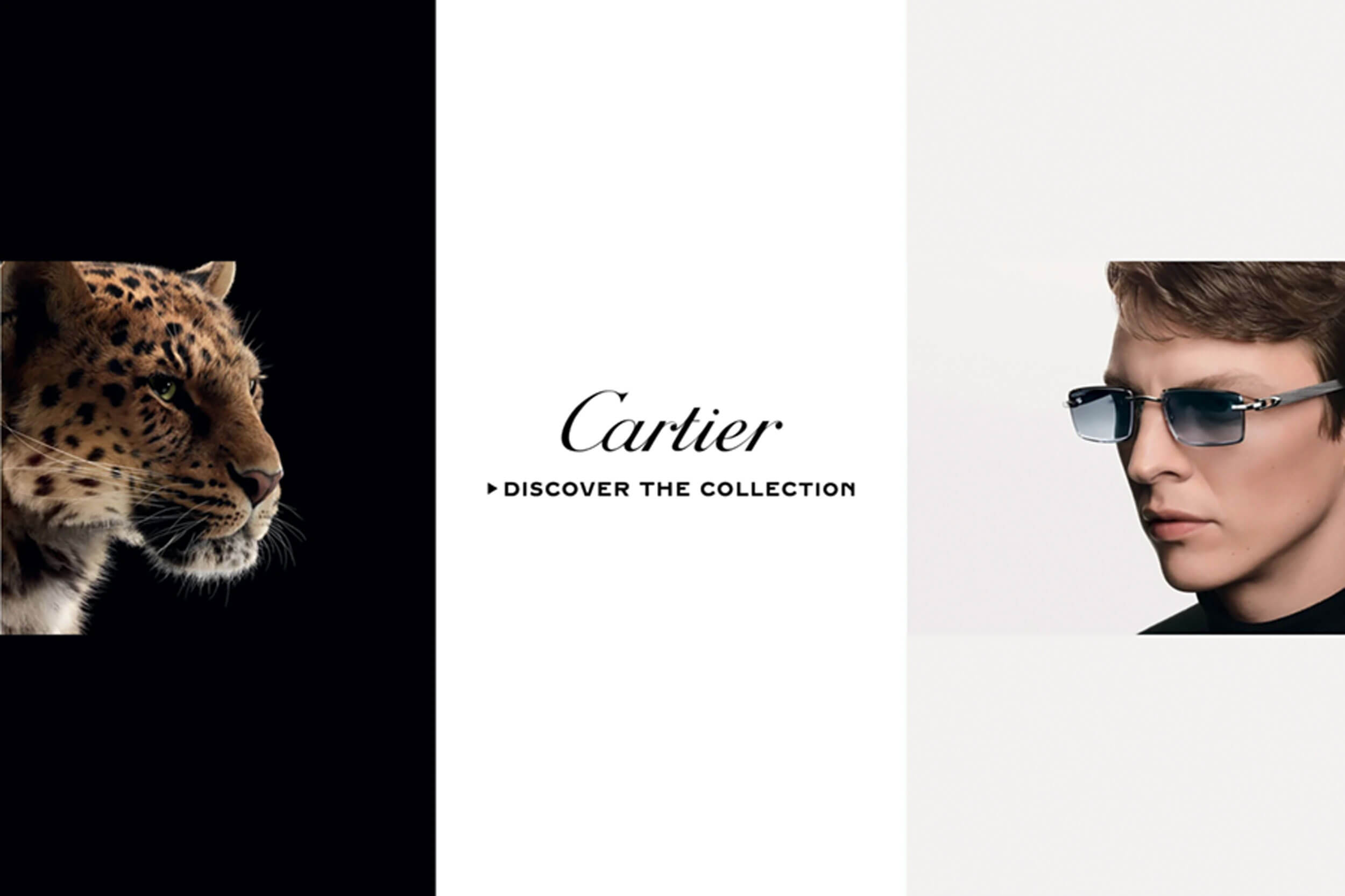 Bộ sưu tập kính mắt Cartier chính hãng – kính mát Panthère de Cartier và gọng titan