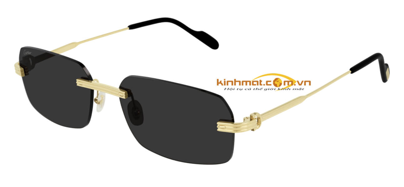 Kính mát Cartier CT0271S 001