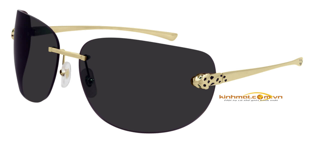 Kính mát Cartier CT0266S 001 đầu báo