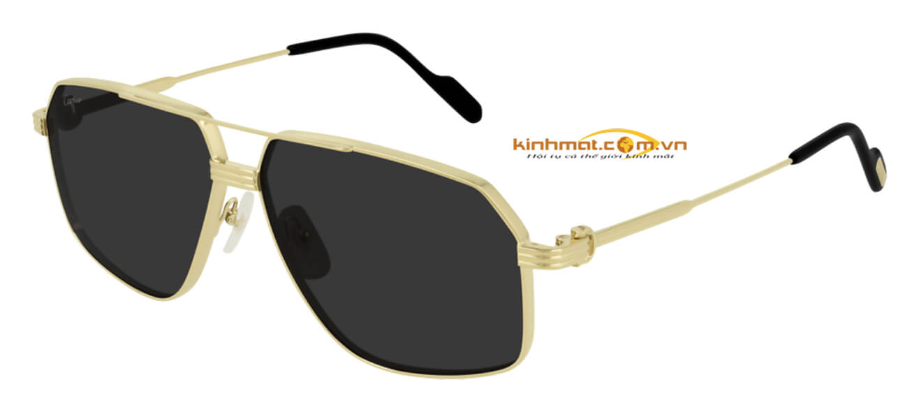 Kính mát Cartier CT0270S 001 61