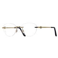 Gong kính Cartier CT0224O 001