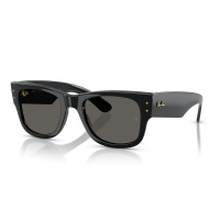 Kính mát RAY-BAN 0840SF 6826J5 52