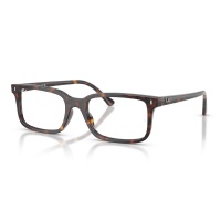 Gọng kính RAY-BAN 5445F 2012 54
