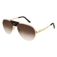 Kính mát Cartier CT0034S 011