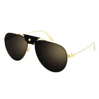 Kính mát Cartier CT0166S 007