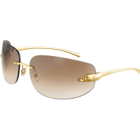 Kính mát Cartier T8200811