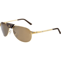 Kính mát Cartier T8200888