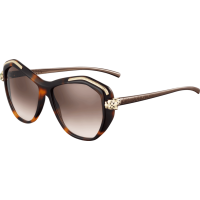 Kính mát Cartier T8201076
