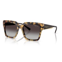 Kính mát VOGUE 5553S 26058G 54
