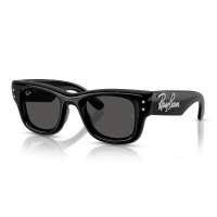 Kính mát RAY-BAN 4940B 686487 47