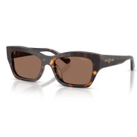 Kính mát VOGUE 5658SU W65673 53