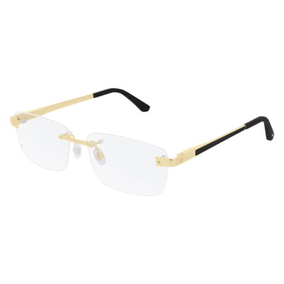 Gọng kính Cartier CT0201O-001