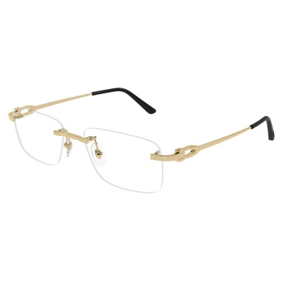 Gọng kính Cartier 0521O 001 56