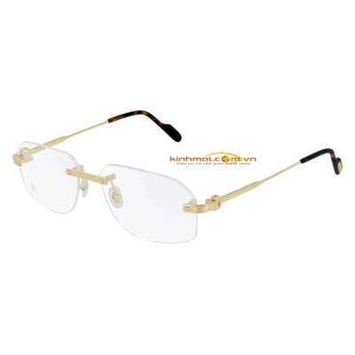Gọng kính Cartier CT0284O 002