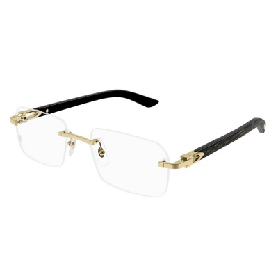 Gọng kính Cartier CT0453O 001 56