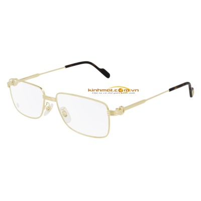 Gọng kính Cartier CT0294OA 002