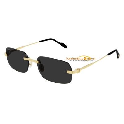 Kính mát Cartier CT0271S 001