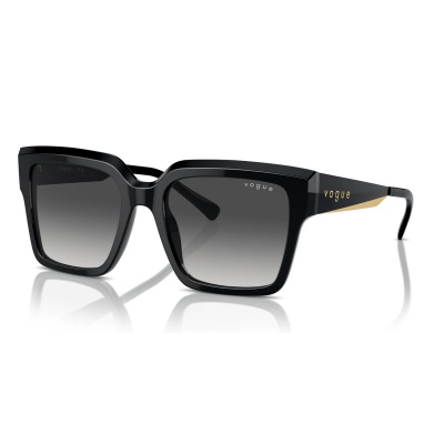 Kính mát VOGUE 5553S W44/8G 54