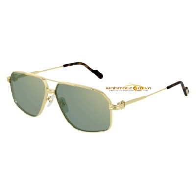 Kính mát Cartier CT0270S 008