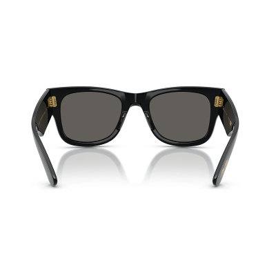 Kính mát RAY-BAN 0840SF 6826J5 52