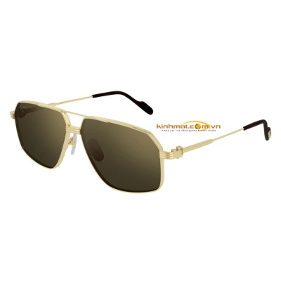 Kính mát Cartier CT0270S 002