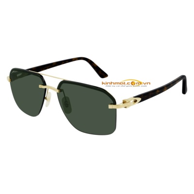 Kính mát Cartier CT0276S 002