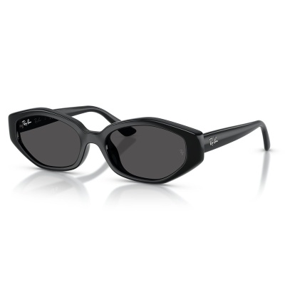 Kính mát RAY-BAN 4473D 667787 56