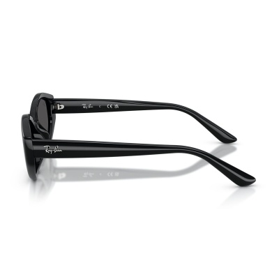 Kính mát RAY-BAN 4473D 667787 56