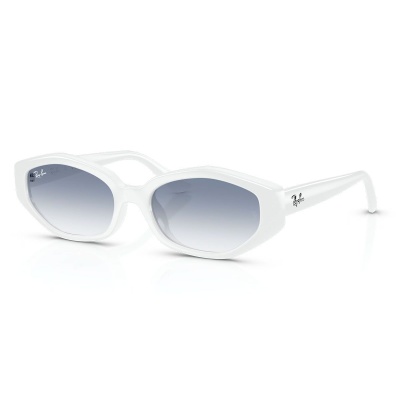 Kính mát RAY-BAN 4473D 677219 56