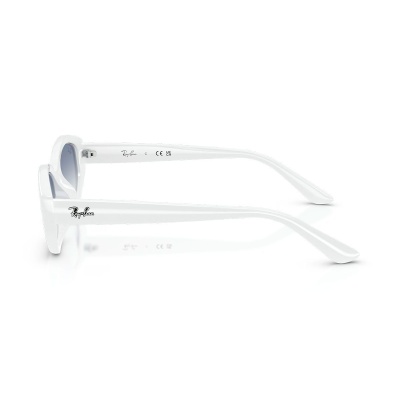 Kính mát RAY-BAN 4473D 677219 56