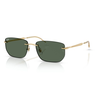 Kính mát RAY-BAN 3768 001/71 56