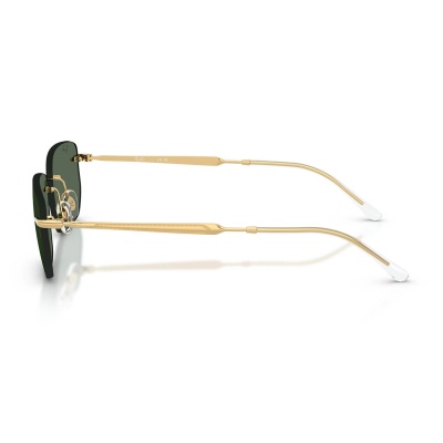Kính mát RAY-BAN 3768 001/71 56