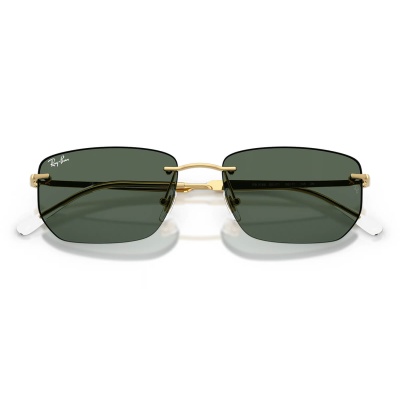 Kính mát RAY-BAN 3768 001/71 56