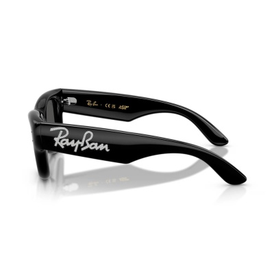Kính mát RAY-BAN 4940B 686487 47