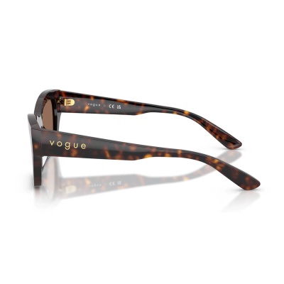 Kính mát VOGUE 5658SU W65673 53
