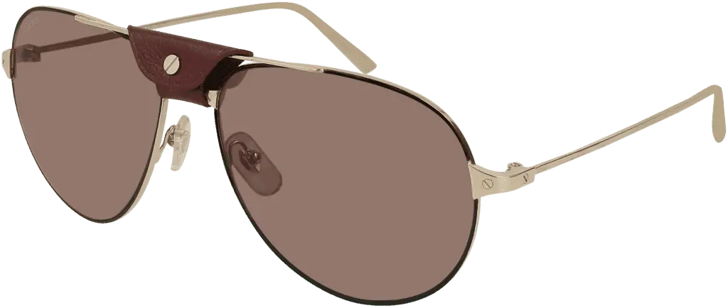 Kính mát Cartier Santos CT0038S 006