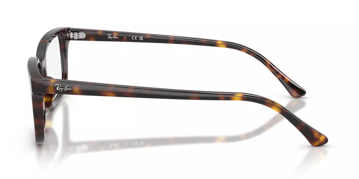 Gọng kính RAY-BAN 5445F 2012 54