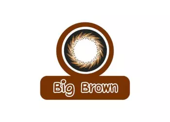 Áp tròng màu Maxim 3 tháng Big Brown
