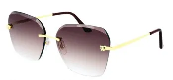 Kính mát Cartier CT0147S 004