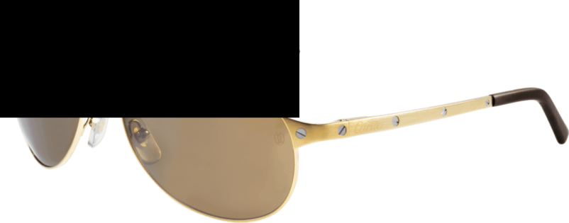 Kính mát Cartier T8200888 Kính mát Cartier T8200888