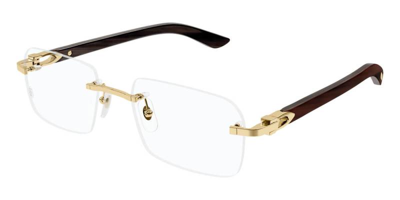 Gọng kính Cartier CT0027O 002 Gọng kính Cartier CT0027O 002