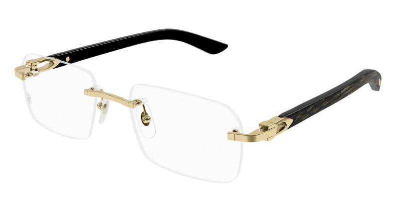 Gọng kính Cartier CT0453O 001 56 Gọng kính Cartier CT0453O 001 56
