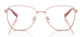 Gọng kính MICHAEL KORS MK3081D 1108
