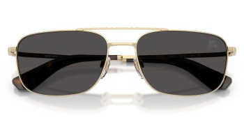 Kính mát BURBERRY 3170 110987 59