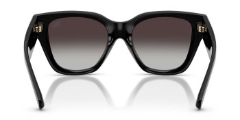 Kính mát BURBERRY 4489U 300187 53