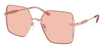 Kính mát MICHAEL KORS MK1157D 110884 58