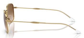 Kính mát RAY-BAN 3706 001/51