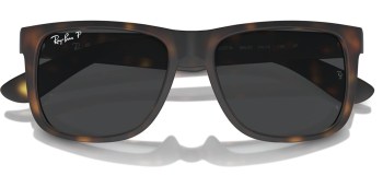 Kính mát RAY-BAN 4165F 865/87