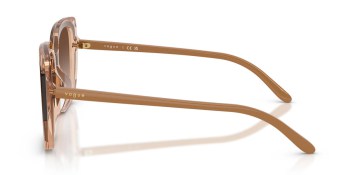 Kính mát VOGUE 5684SD 318113 65