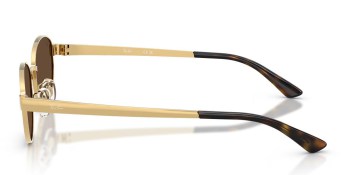Kính mát RAY-BAN 3774D 001/73 55